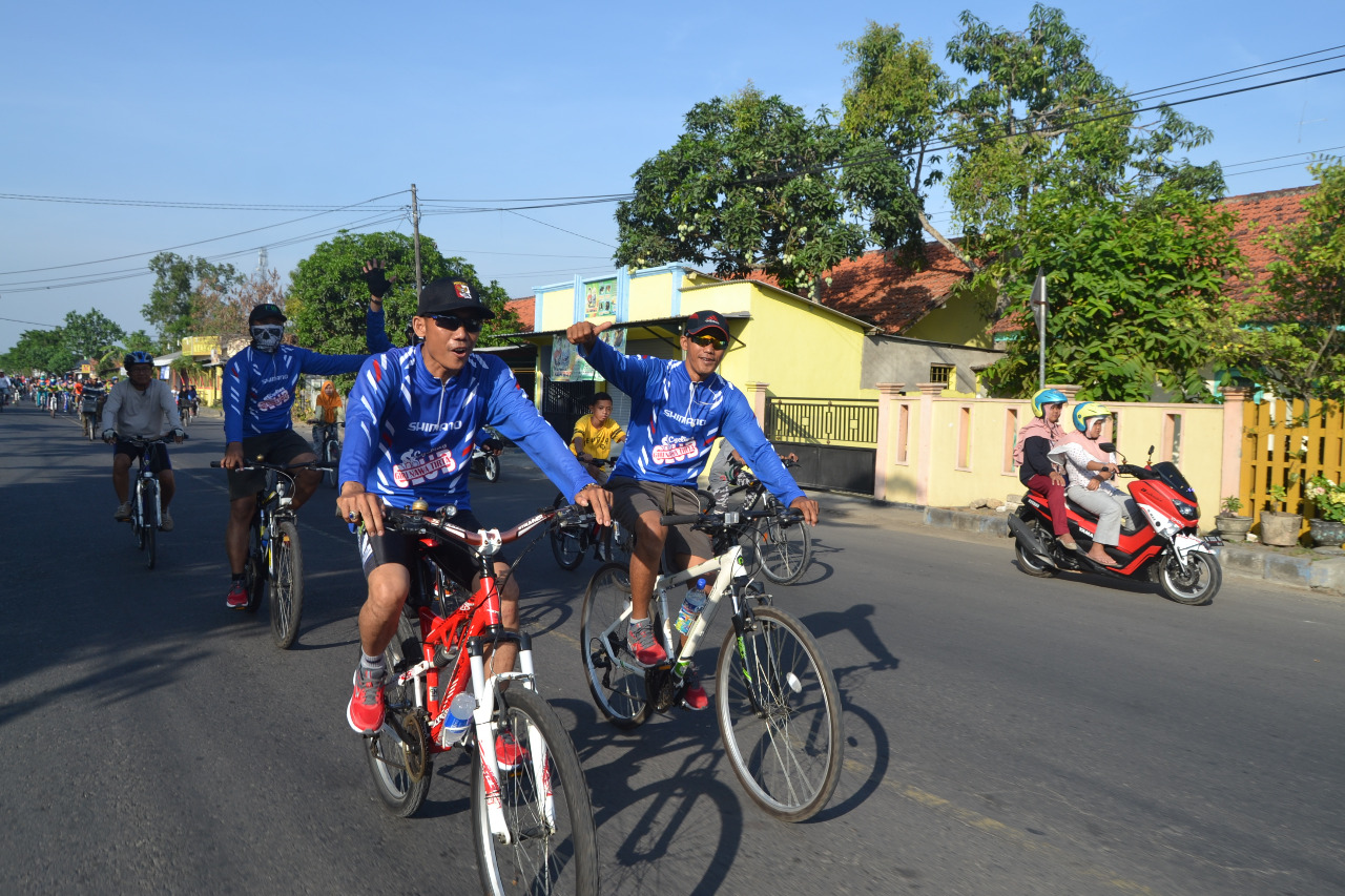 Porda & Gowes